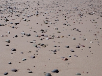 53691CrLe - Beach walk at the Inverness Beach Boardwalk  Peter Rhebergen - Each New Day a Miracle